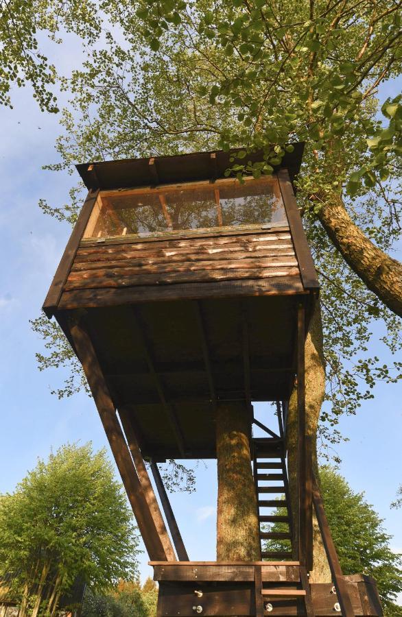 Kaimo Turizmo Sodyba Satavi Kinty Dış mekan fotoğraf