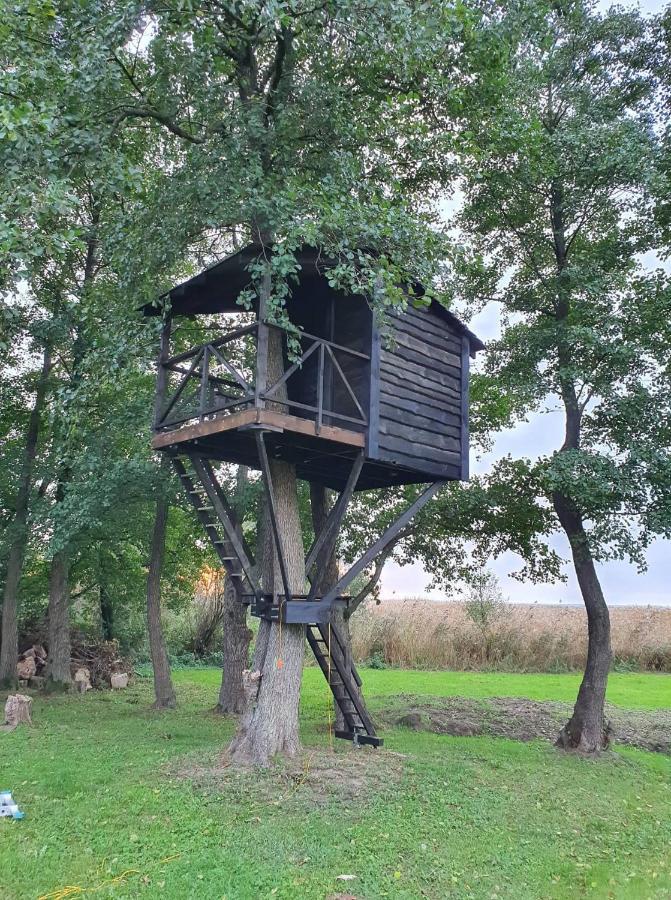 Kaimo Turizmo Sodyba Satavi Kinty Dış mekan fotoğraf