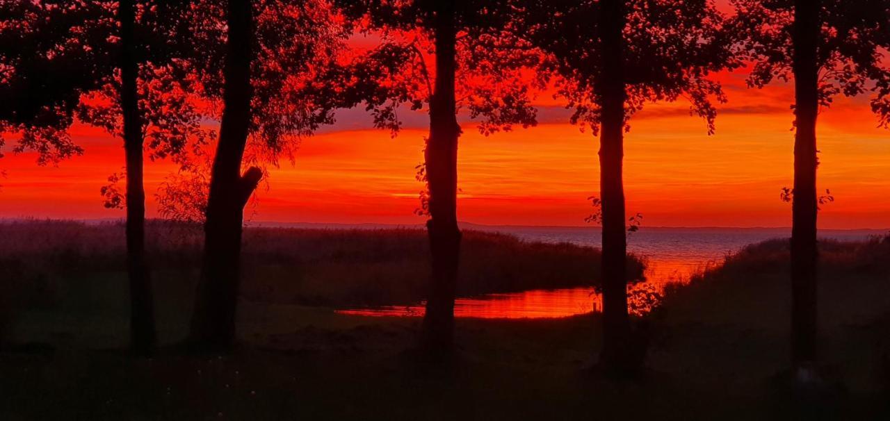 Kaimo Turizmo Sodyba Satavi Kinty Dış mekan fotoğraf